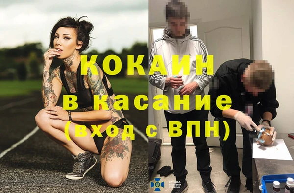 соль ск Алзамай