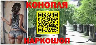 гидра Шелехов