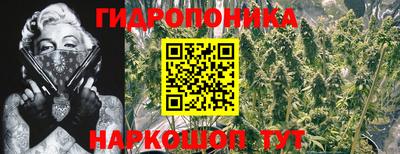PSILOCYBIN Шебекино