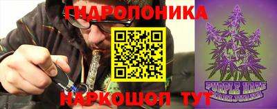 гидра Шелехов