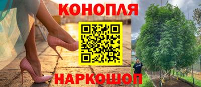 PSILOCYBIN Шебекино