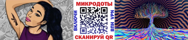 Галлюциногенные грибы Psilocybe Аргун