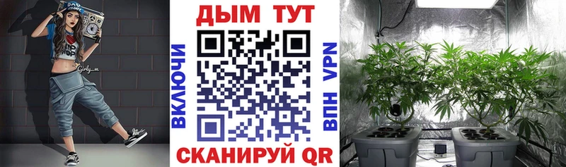МАРИХУАНА VHQ  Аргун 